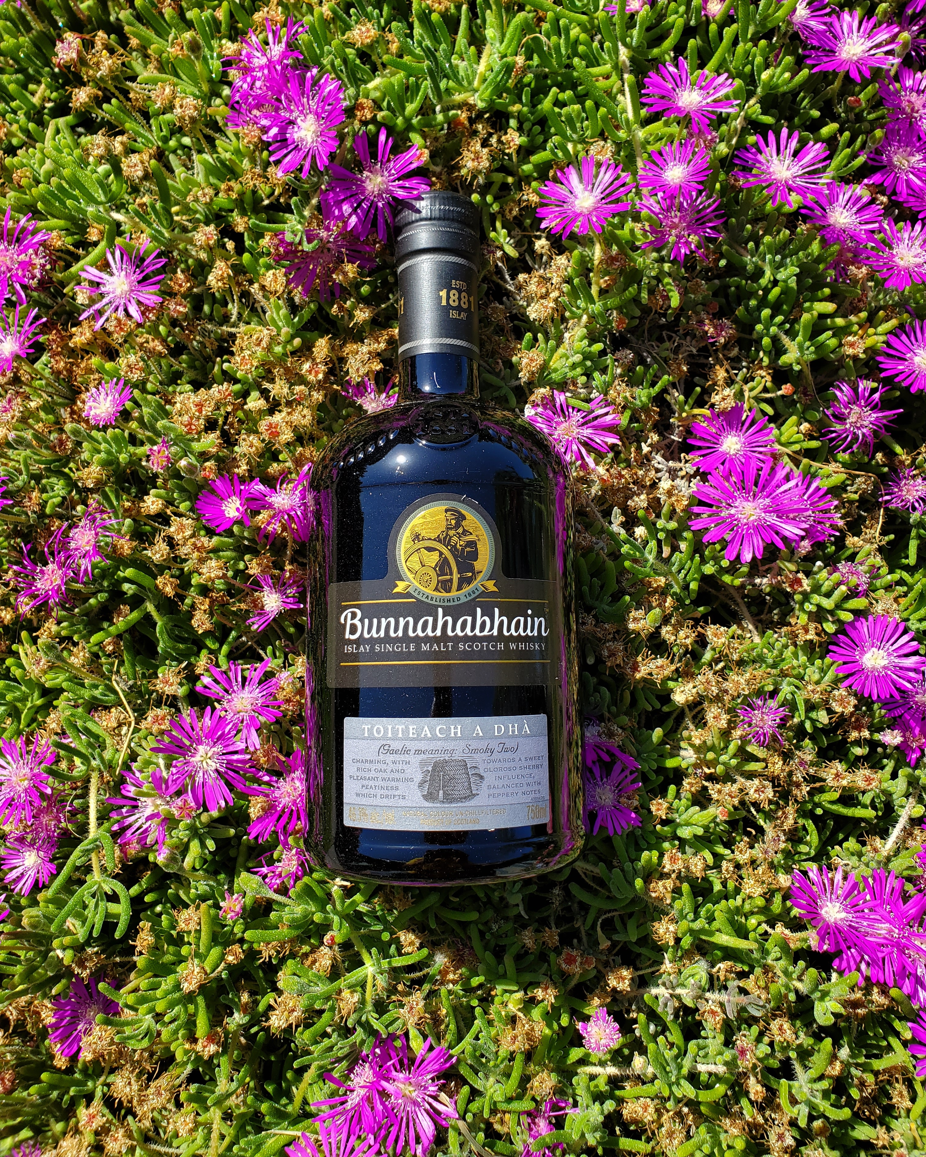 Read more about the article Bunnahabhain Toiteach A Dha: JAWS Rating 8.7/10​